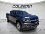 2019 Chevrolet Colorado 4WD LT