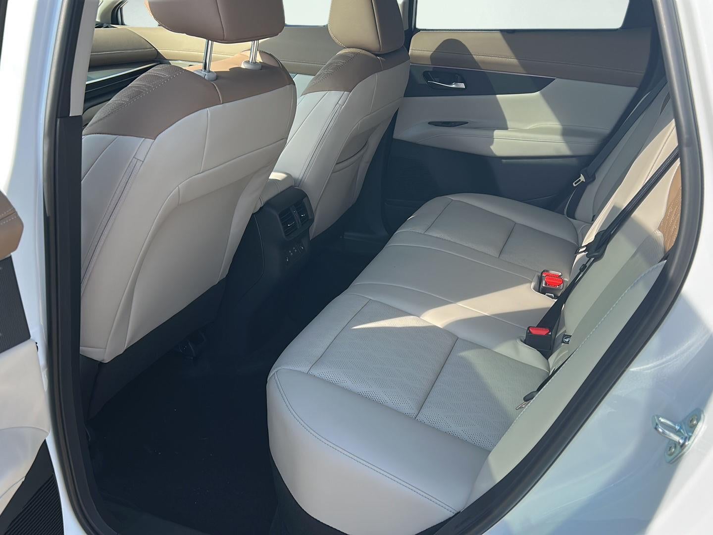 2026 Nissan N/A Platinum