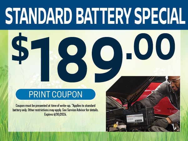 Standard Battery Special