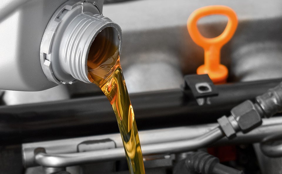 Full Synthetic Oil Change $59.99